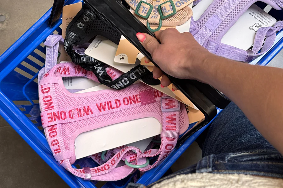 Experience Wild One IRL