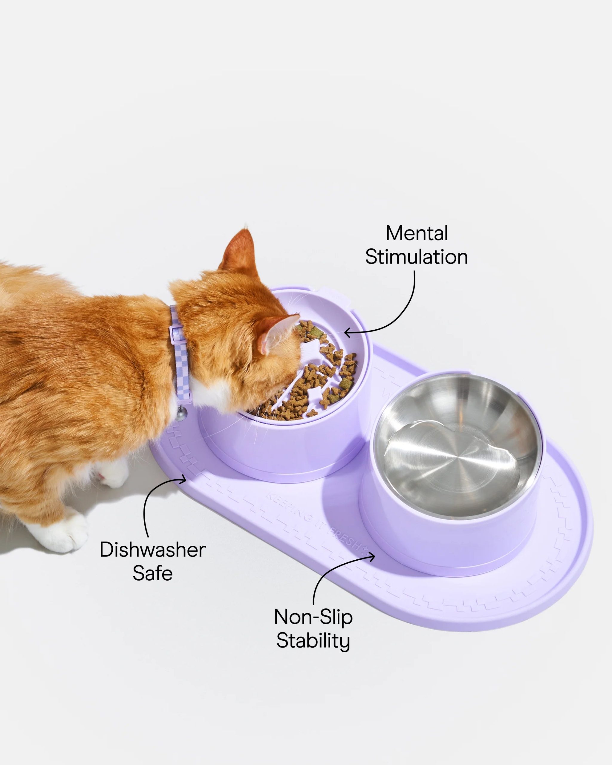 Cat Meal Kit - Image 3