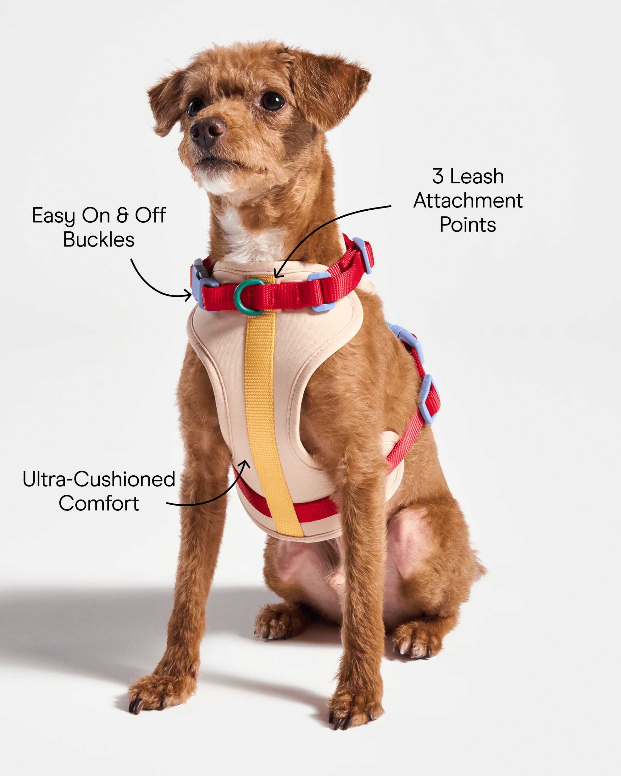 Cushioned Dog Harness - Image 9