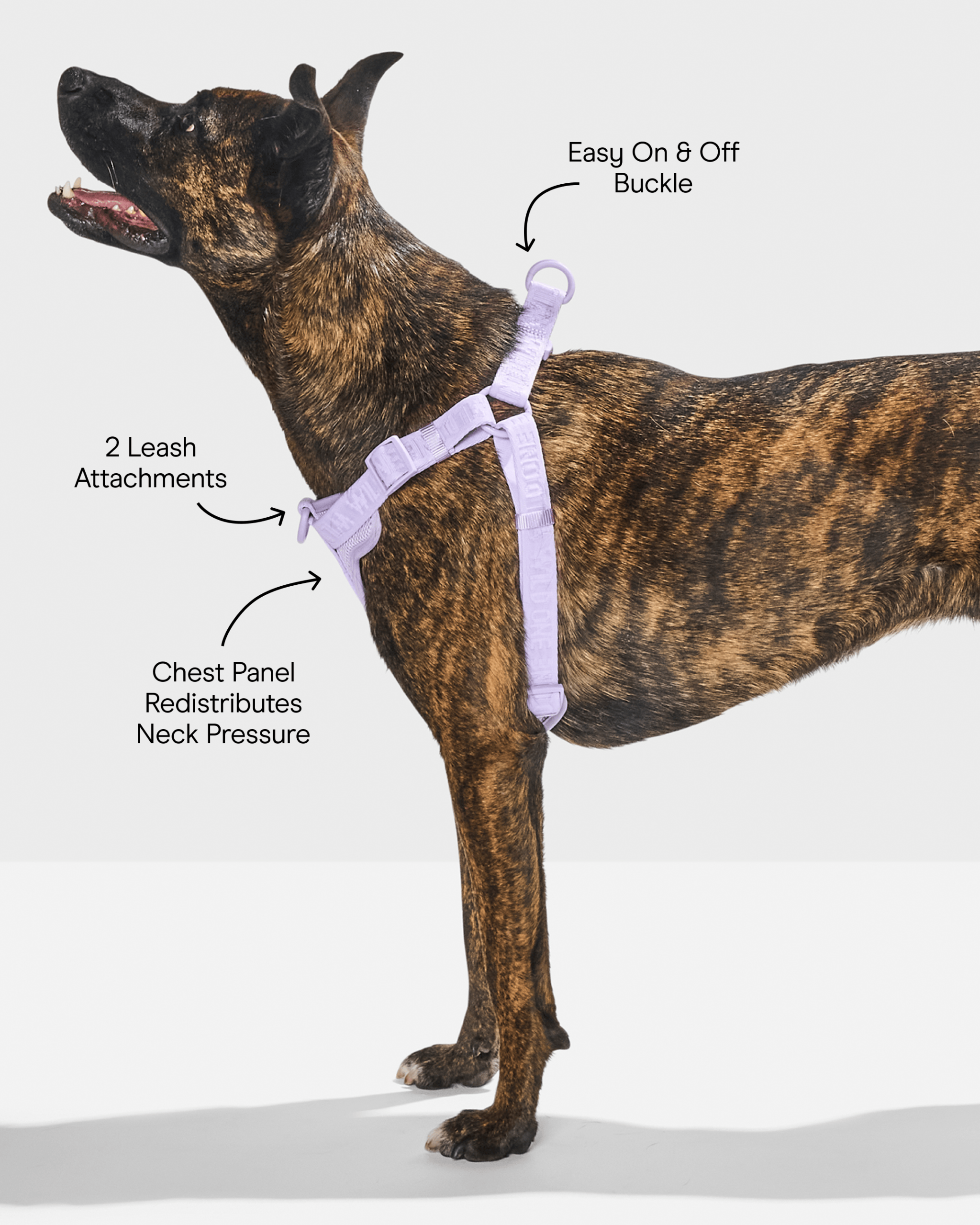 Step-In Dog Harness - Image 24