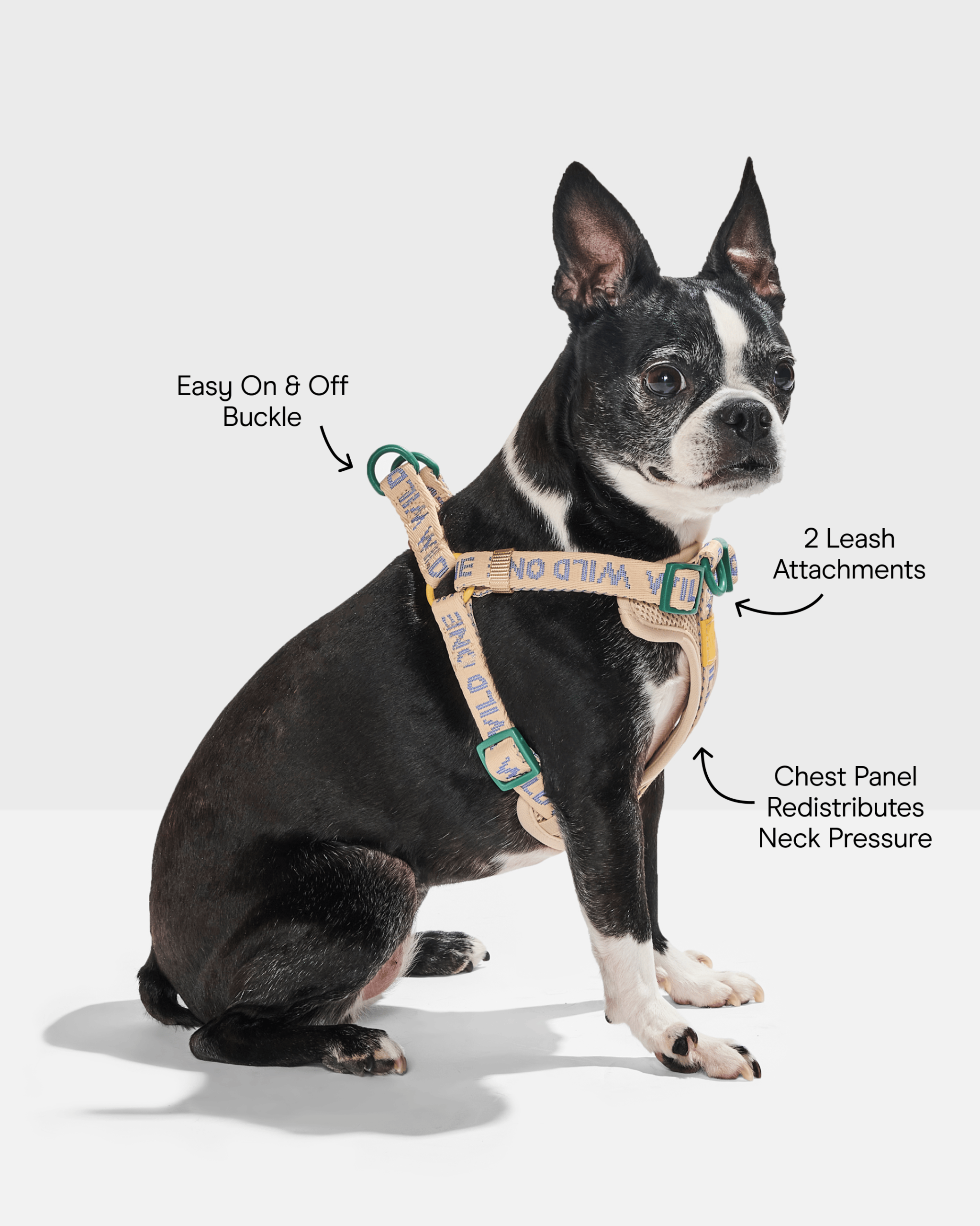 Step-In Dog Harness - Image 5