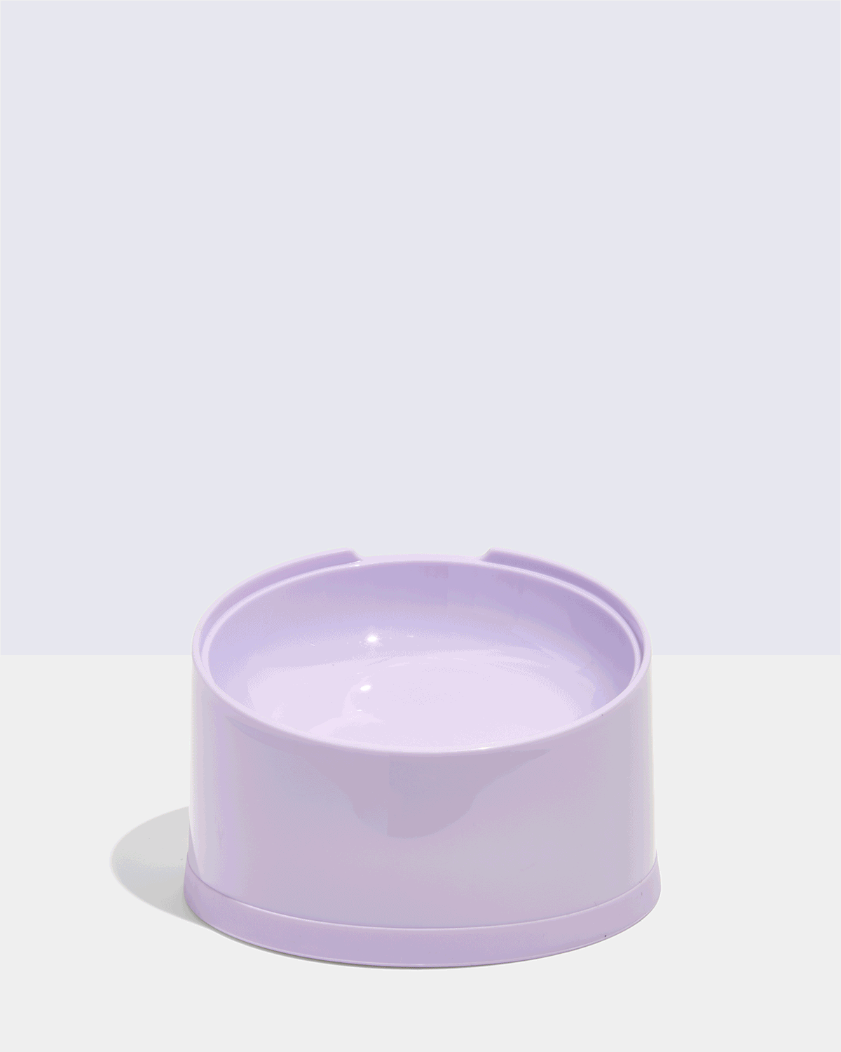 Cat Meal Kit - Image 4
