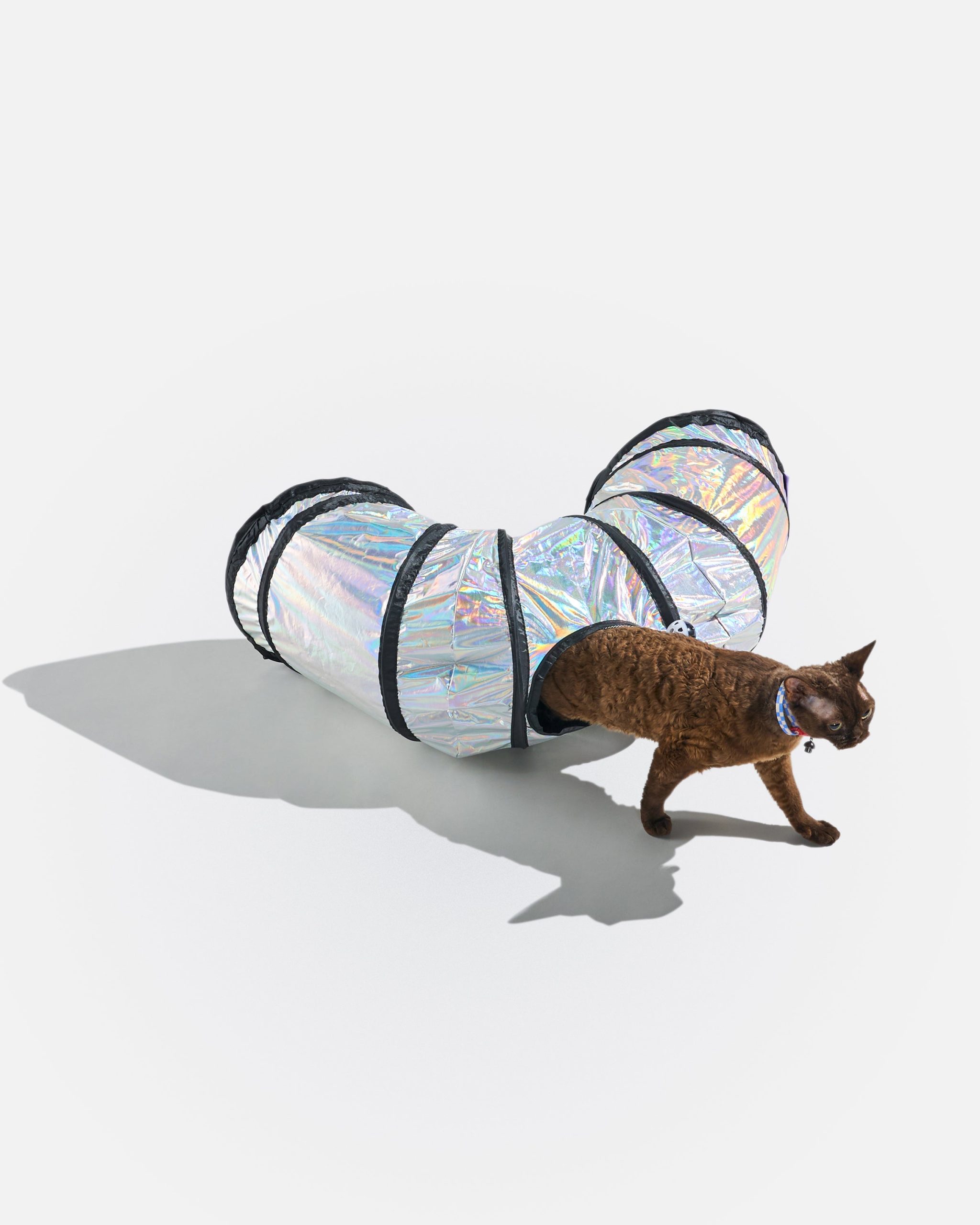Cat Tunnel - Image 15