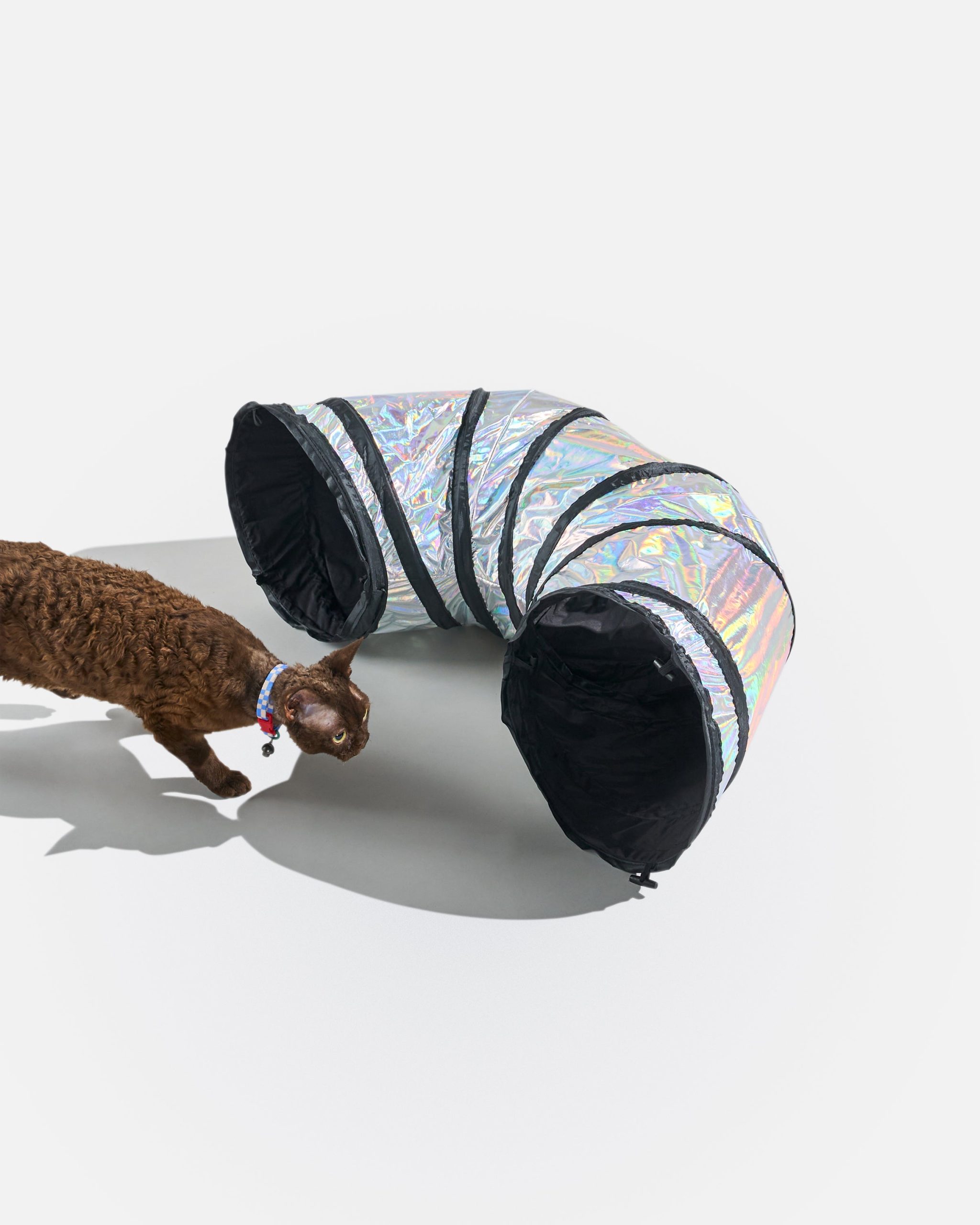 Cat Tunnel - Image 2