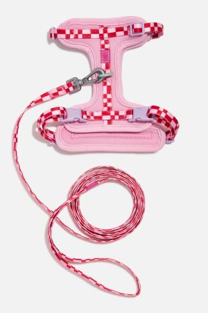 Cat Harness & Leash