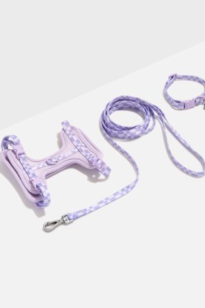 Cat Harness & Leash + Collar Kit
