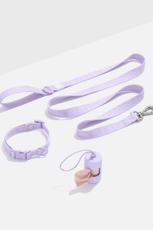 Quick-Release Collar + Lightweight Leash Walk Kit
