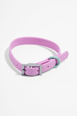 Waterproof Dog Collar
