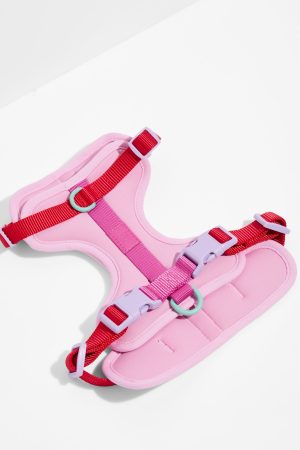 Cushioned Dog Harness