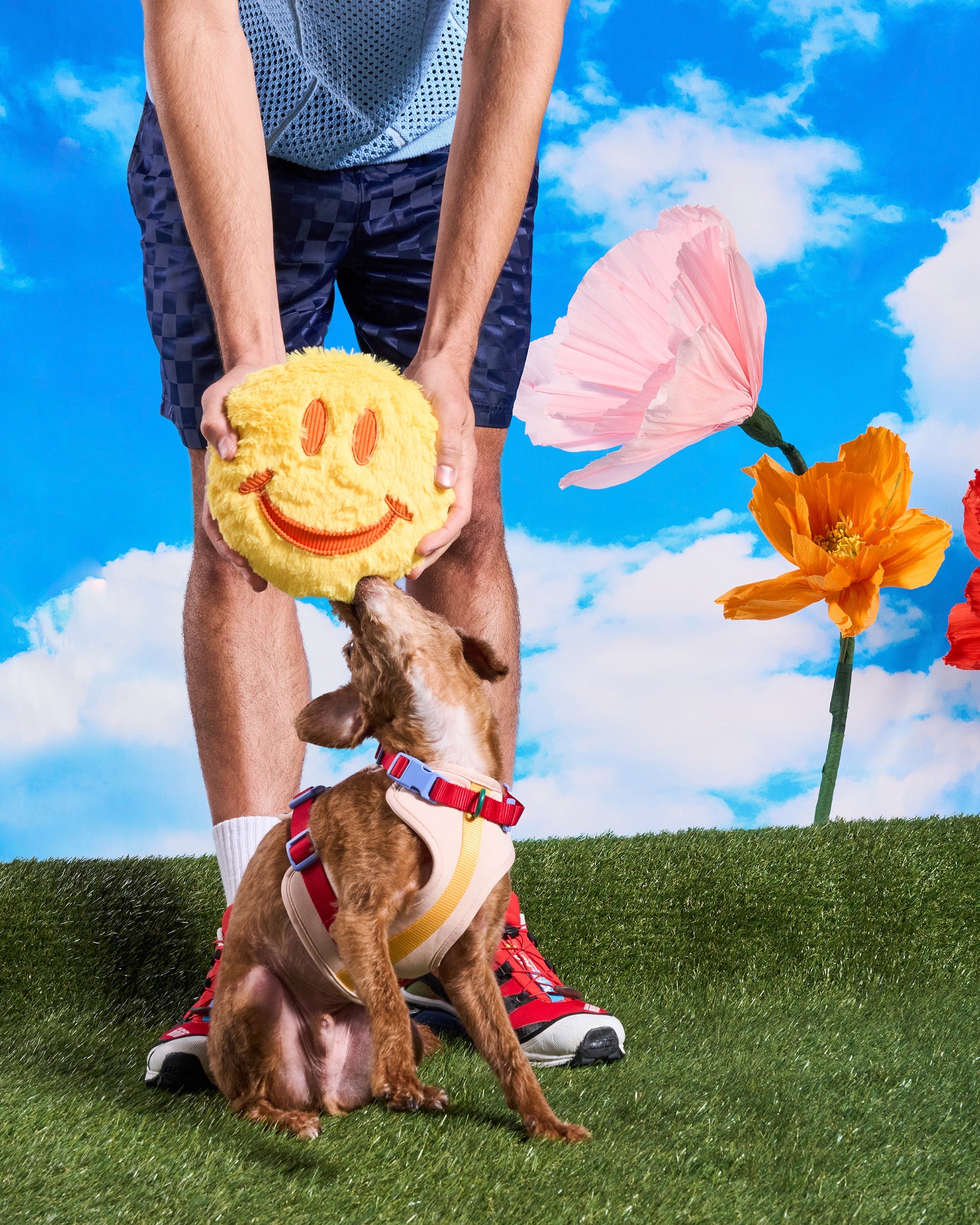 Playful Plush Dog Toy - Image 10