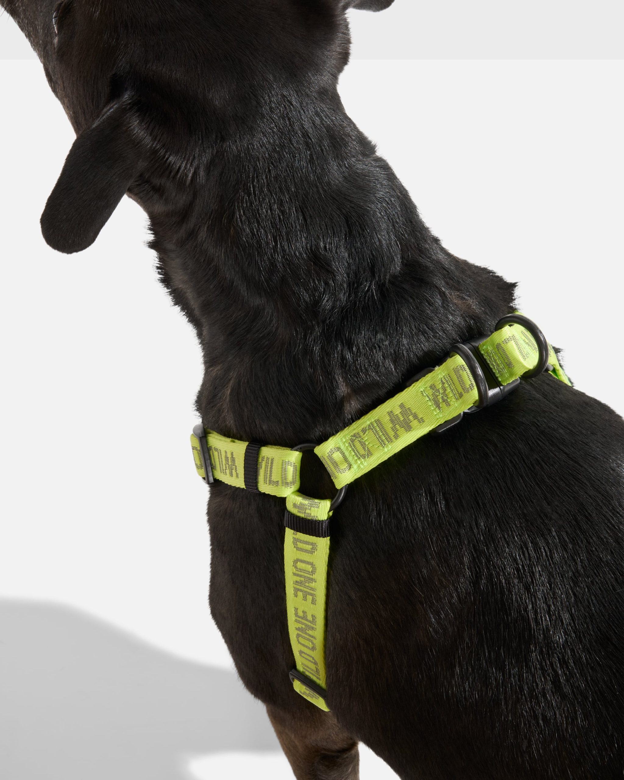 Step-In Dog Harness - Image 30