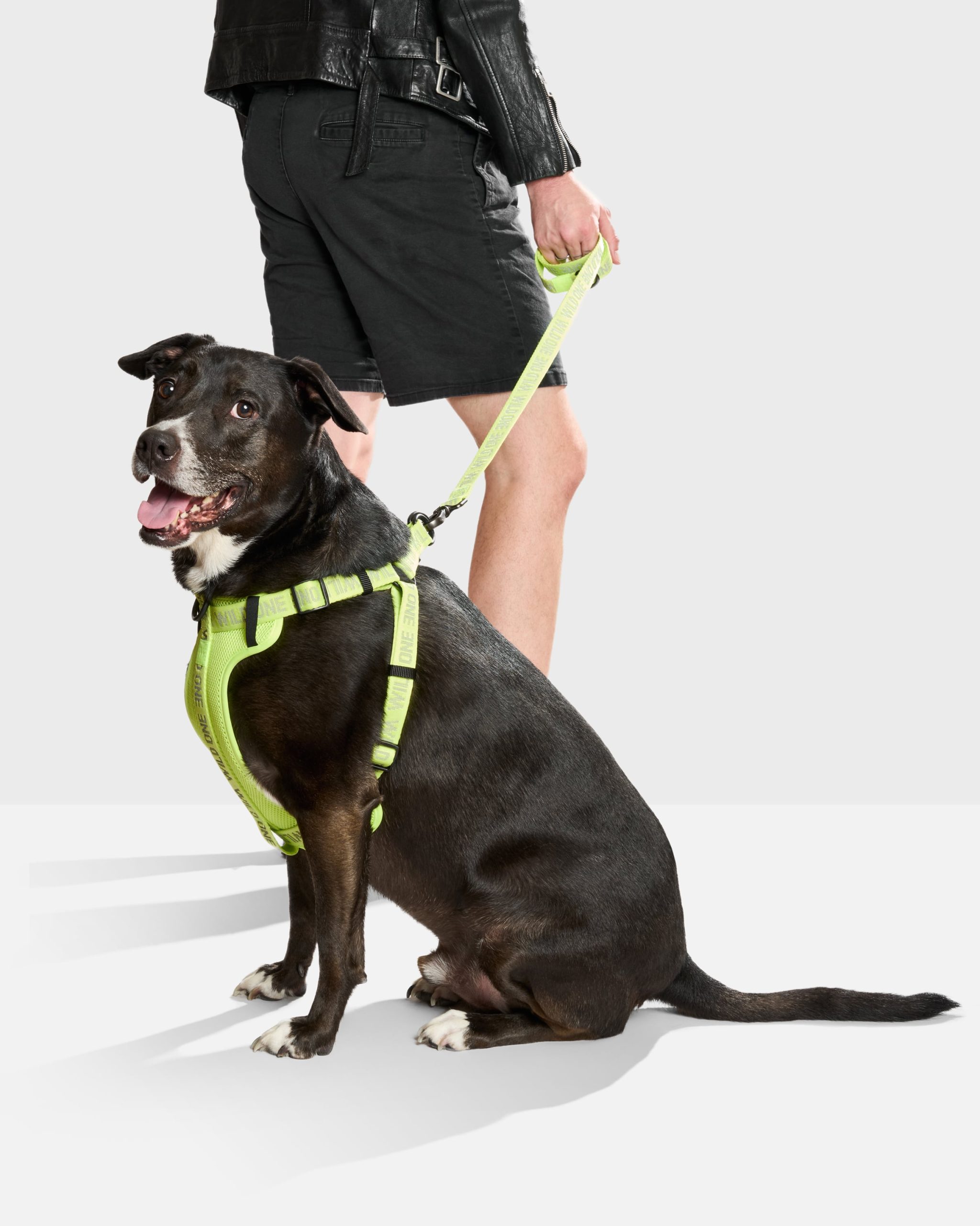 Lightweight Dog Leash - Image 27