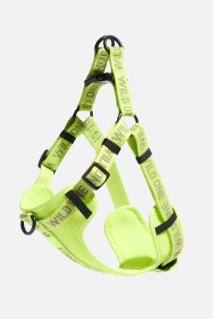 Step-In Dog Harness