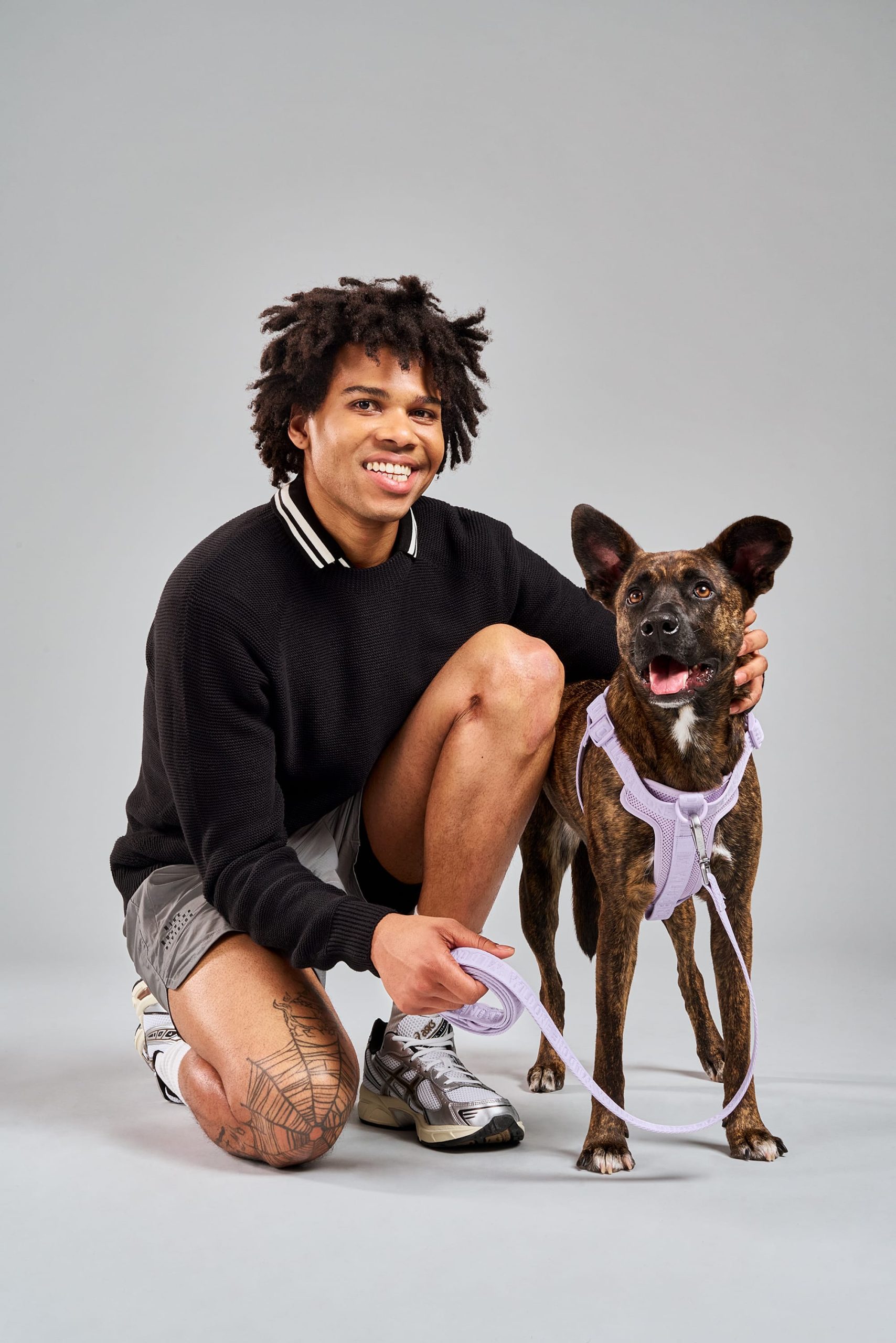 Step-In Dog Harness - Image 28