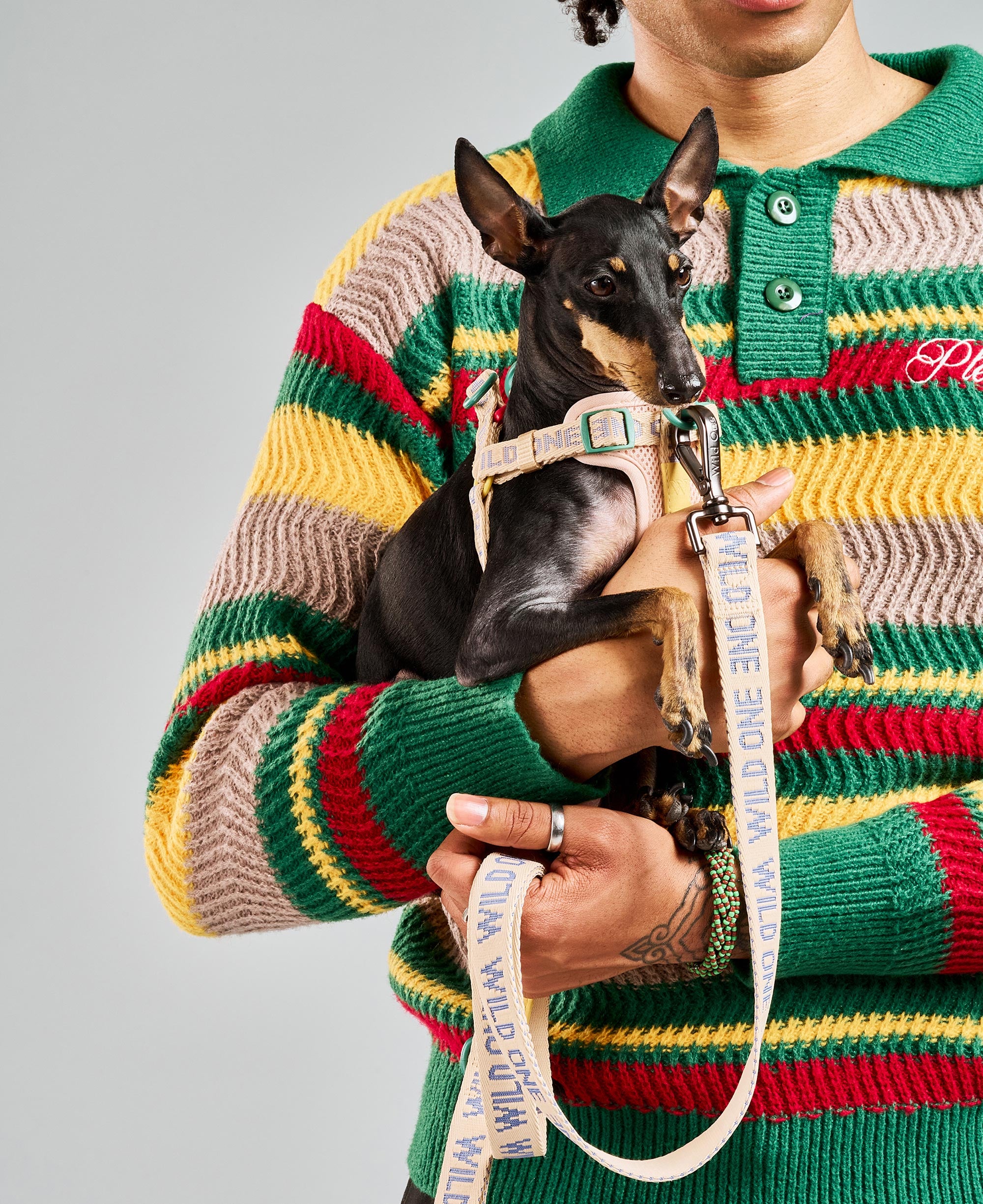 Lightweight Dog Leash - Image 8