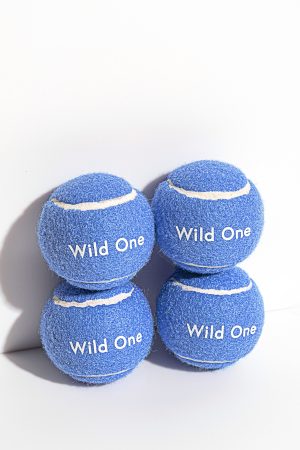 Tennis Balls 4-Pack