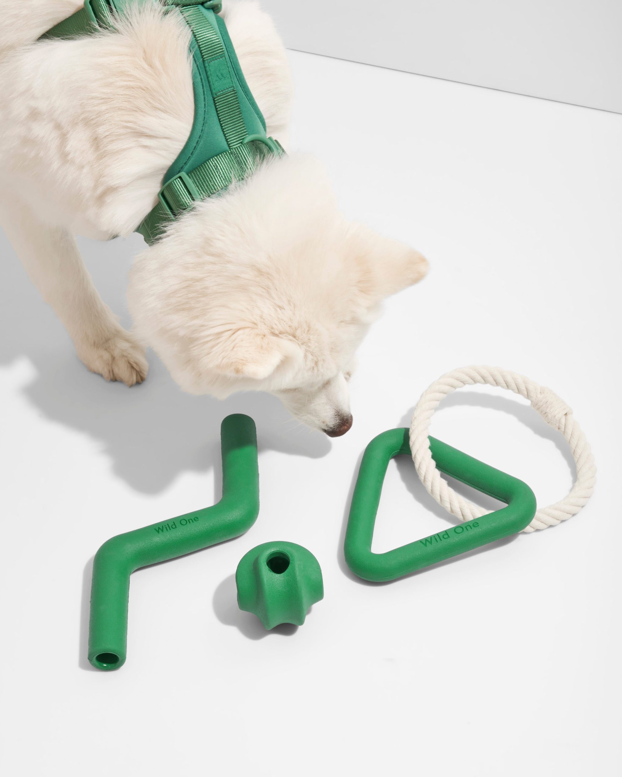 Dog Toy Kit - Image 9