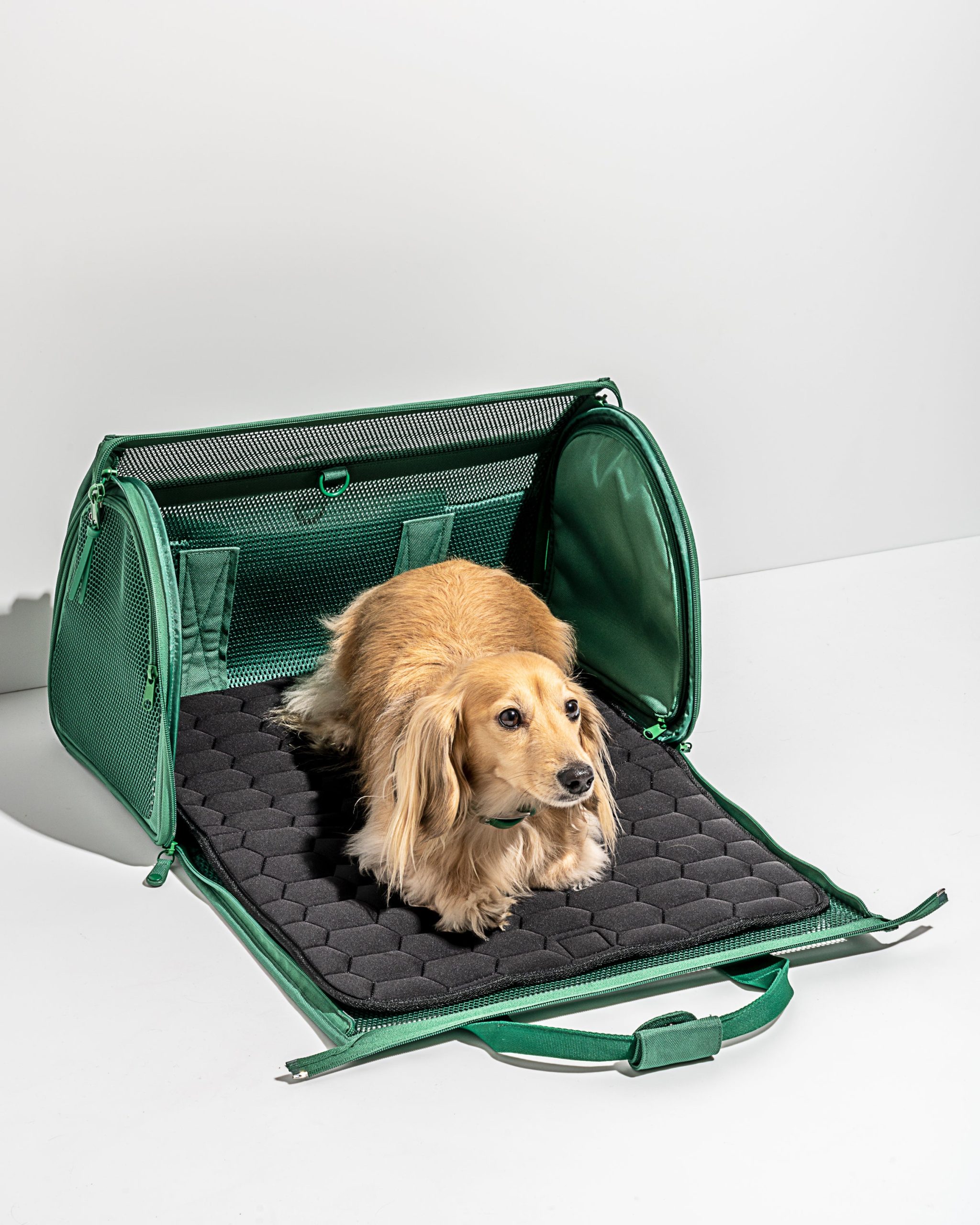Travel Carrier - Image 3