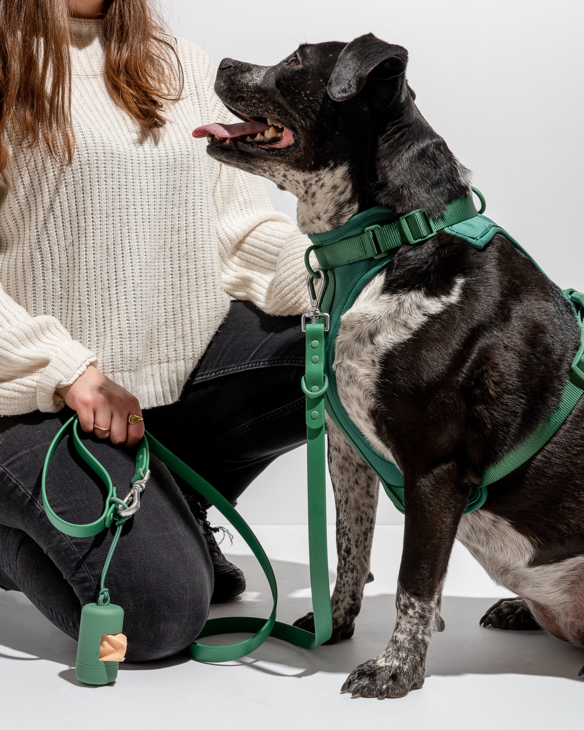 Cushioned Dog Harness - Image 16