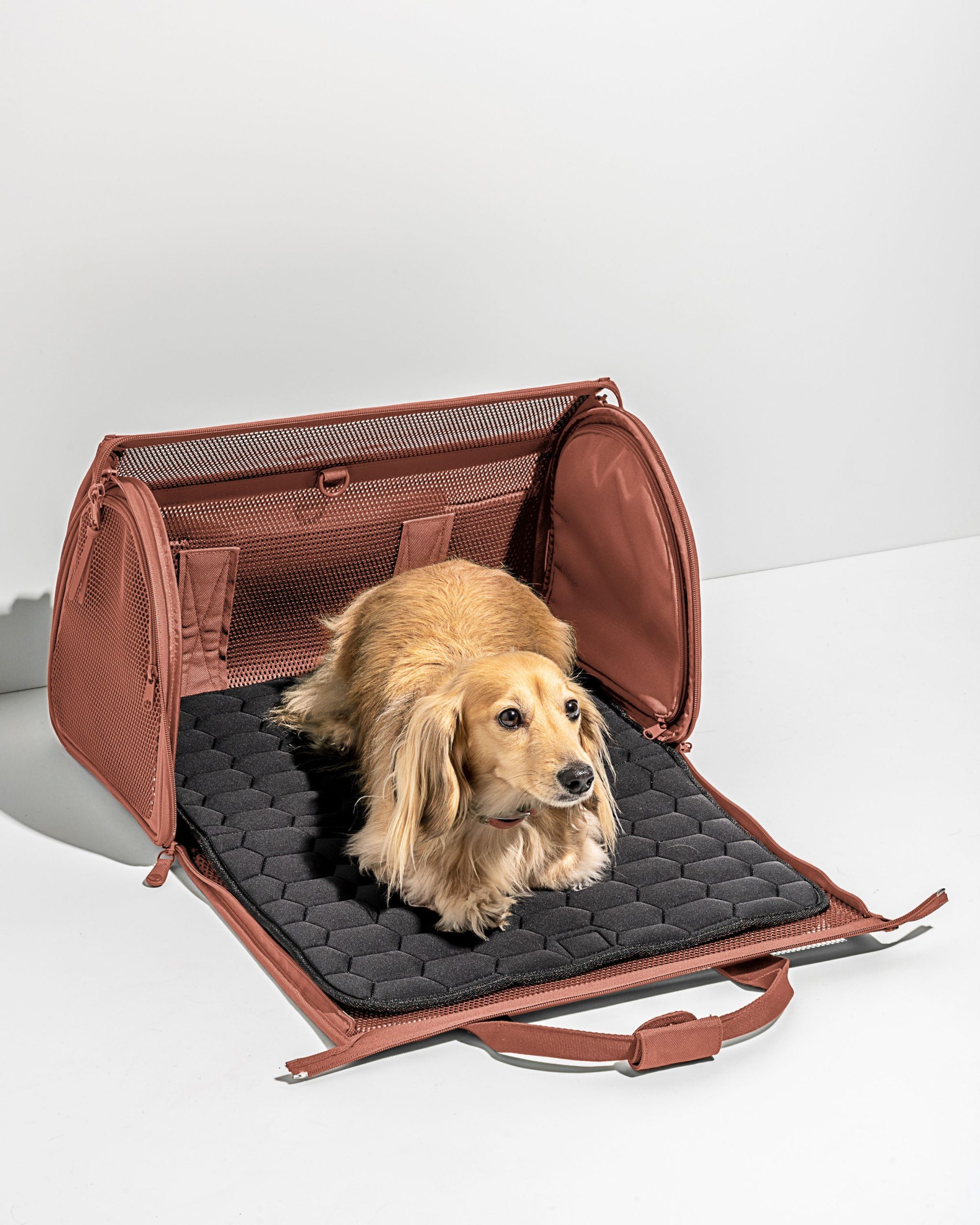 Travel Carrier - Image 14