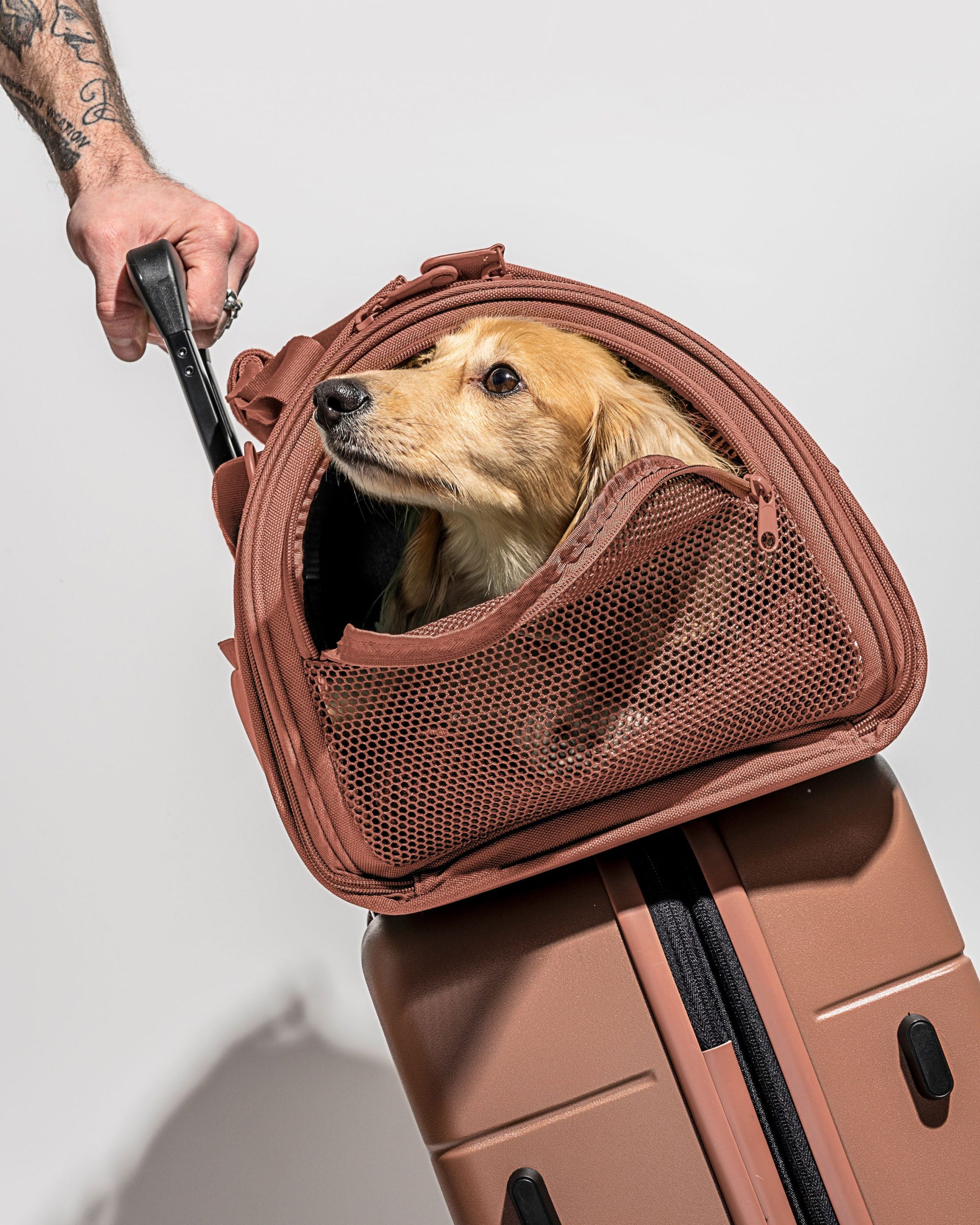 Travel Carrier - Image 15