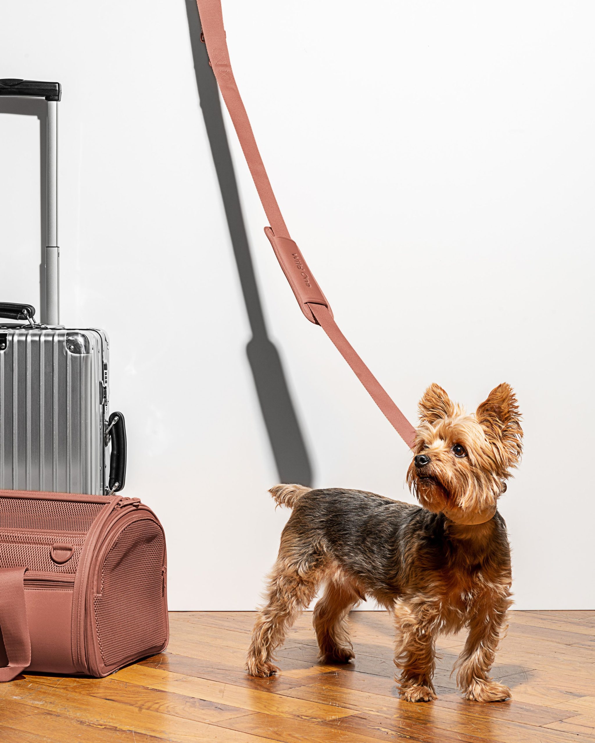 Travel Carrier - Image 17