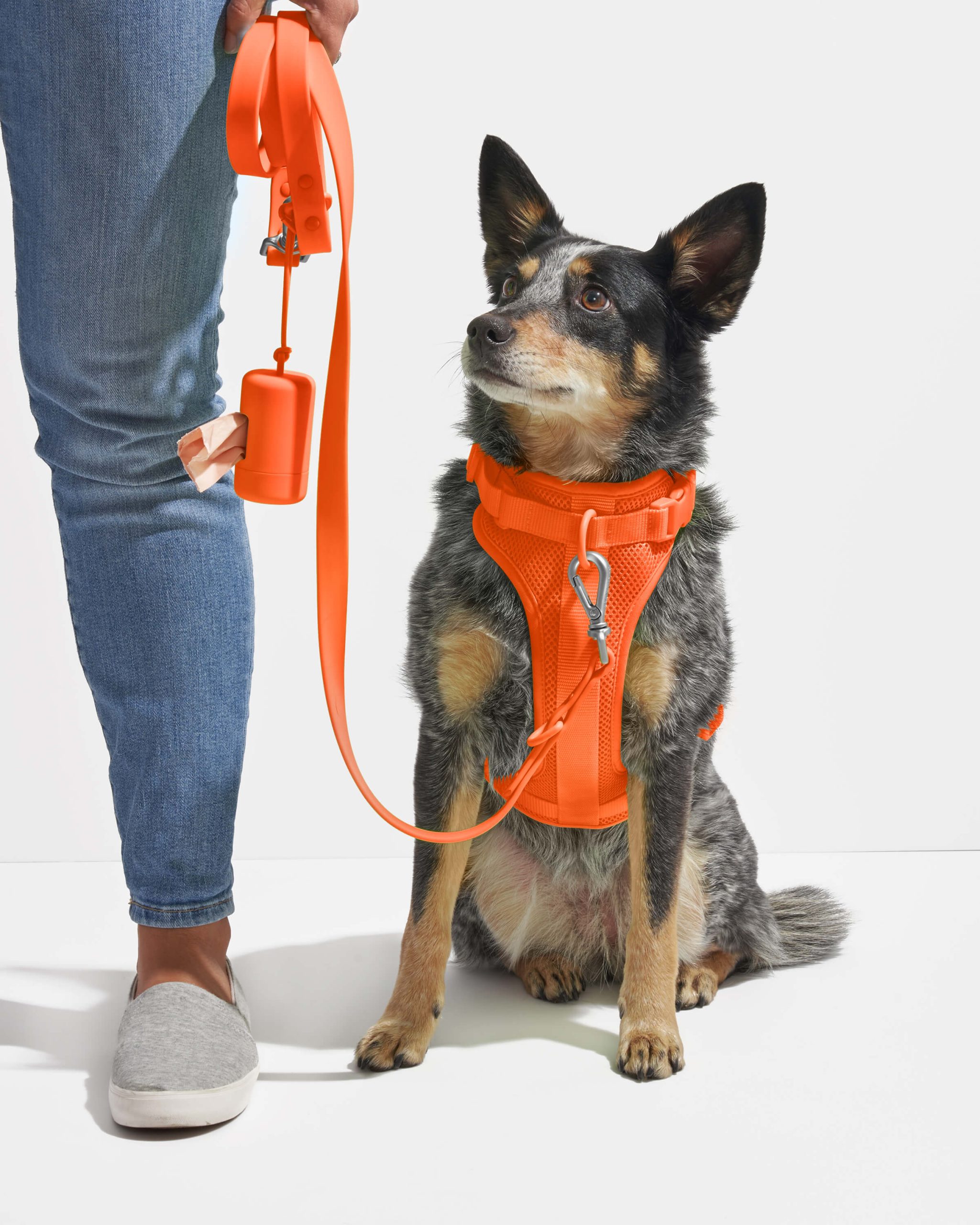 Poop Bag Carrier - Image 20