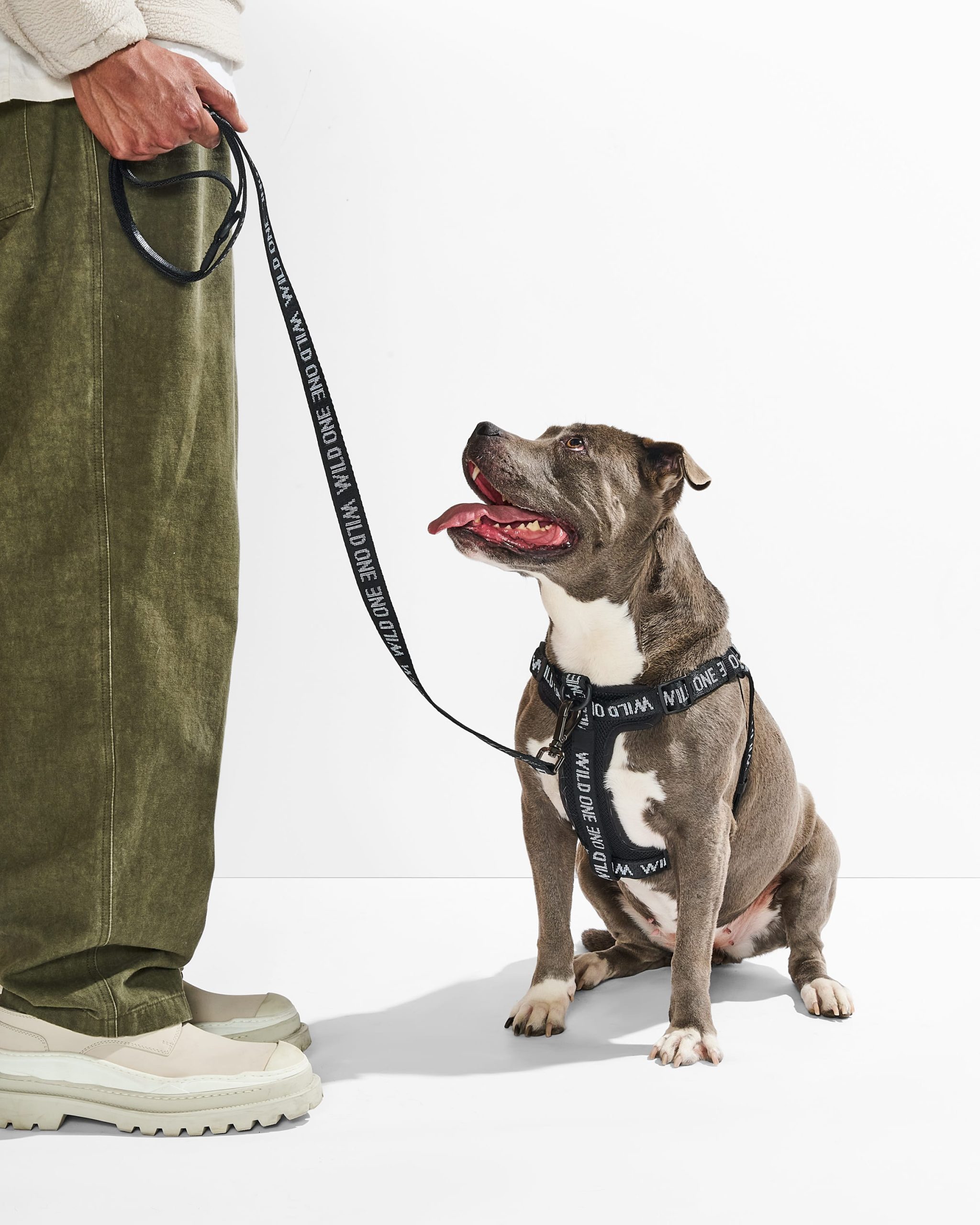 Lightweight Dog Leash - Image 19
