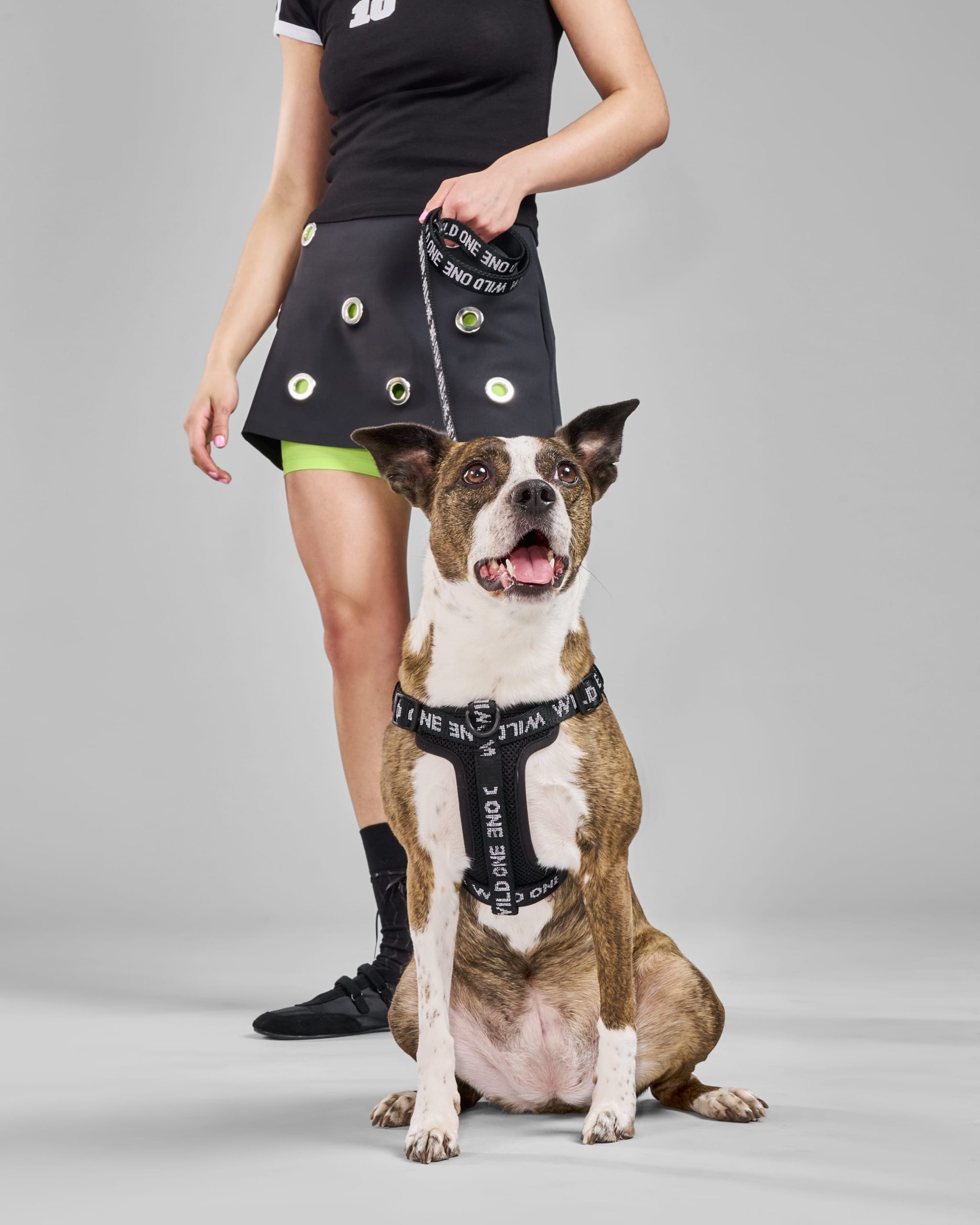 Step-In Dog Harness - Image 22