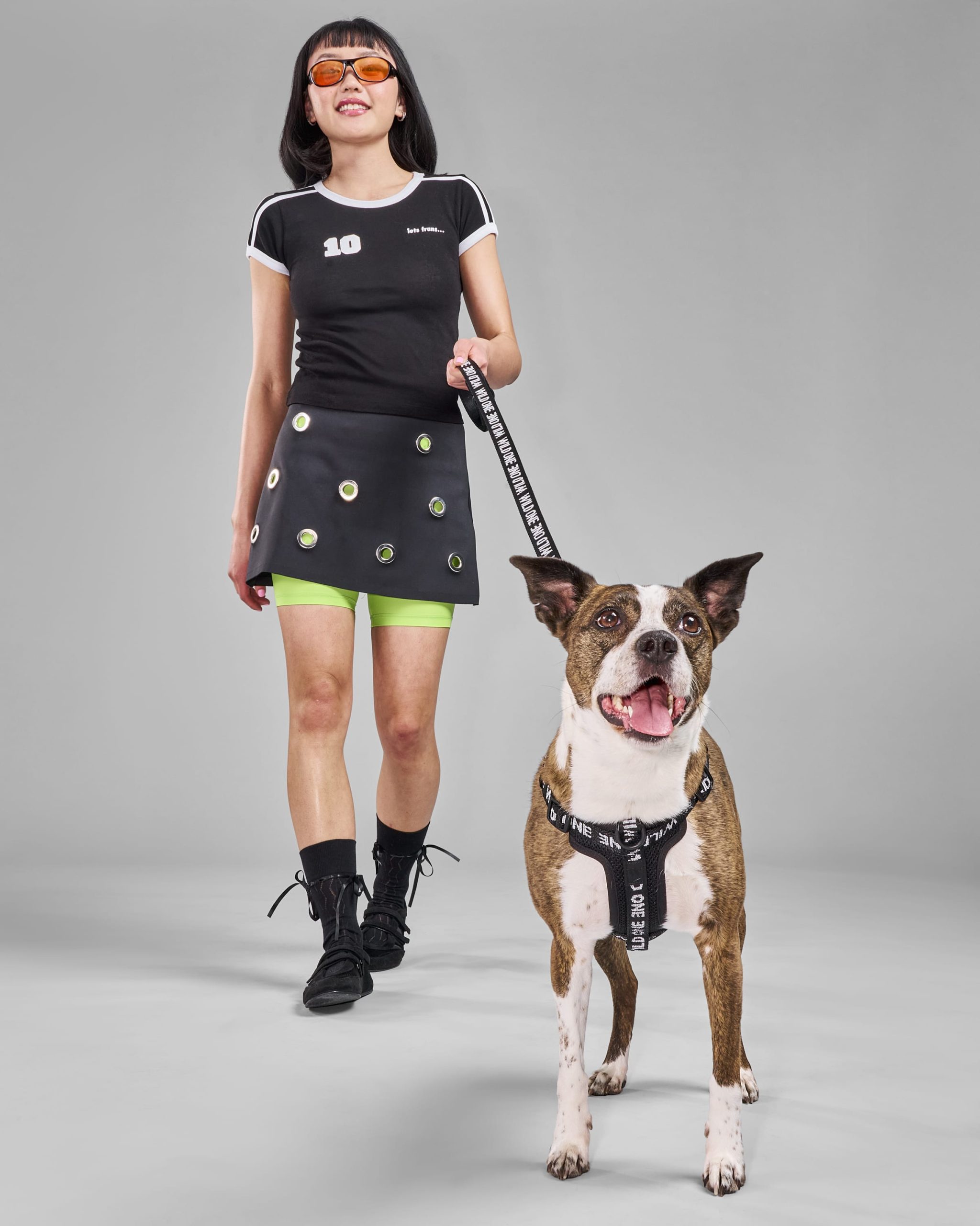 Lightweight Dog Leash - Image 20