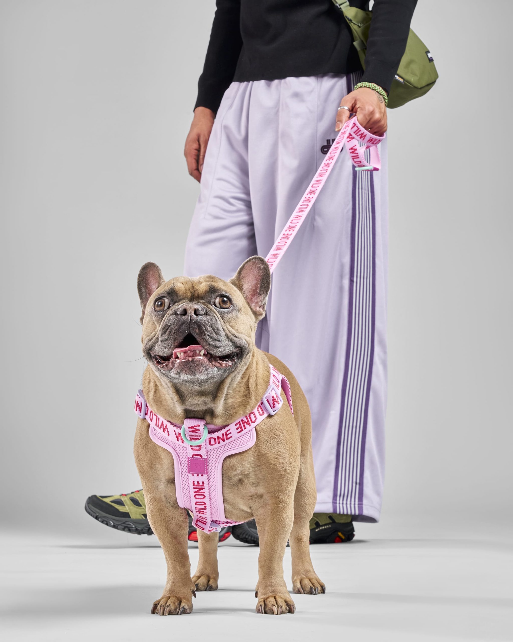 Lightweight Dog Leash - Image 13
