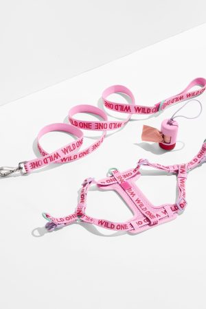 Step-In Harness + Lightweight Leash Walk Kit