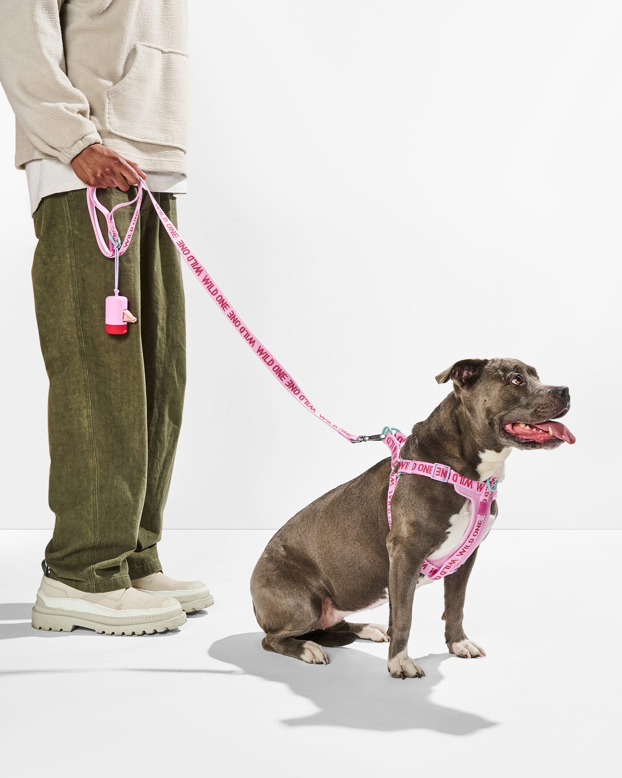 Lightweight Dog Leash - Image 14