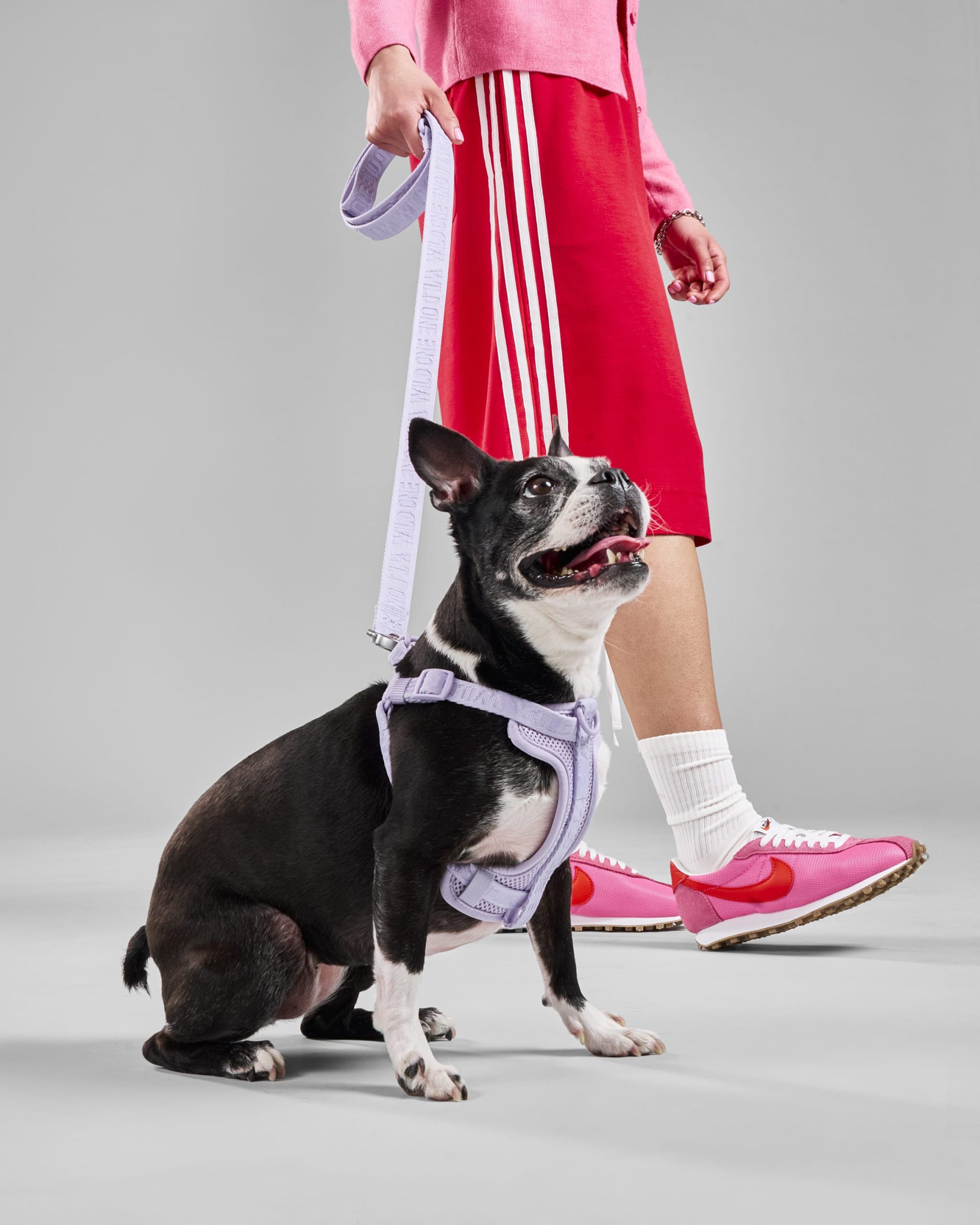 Lightweight Dog Leash - Image 26