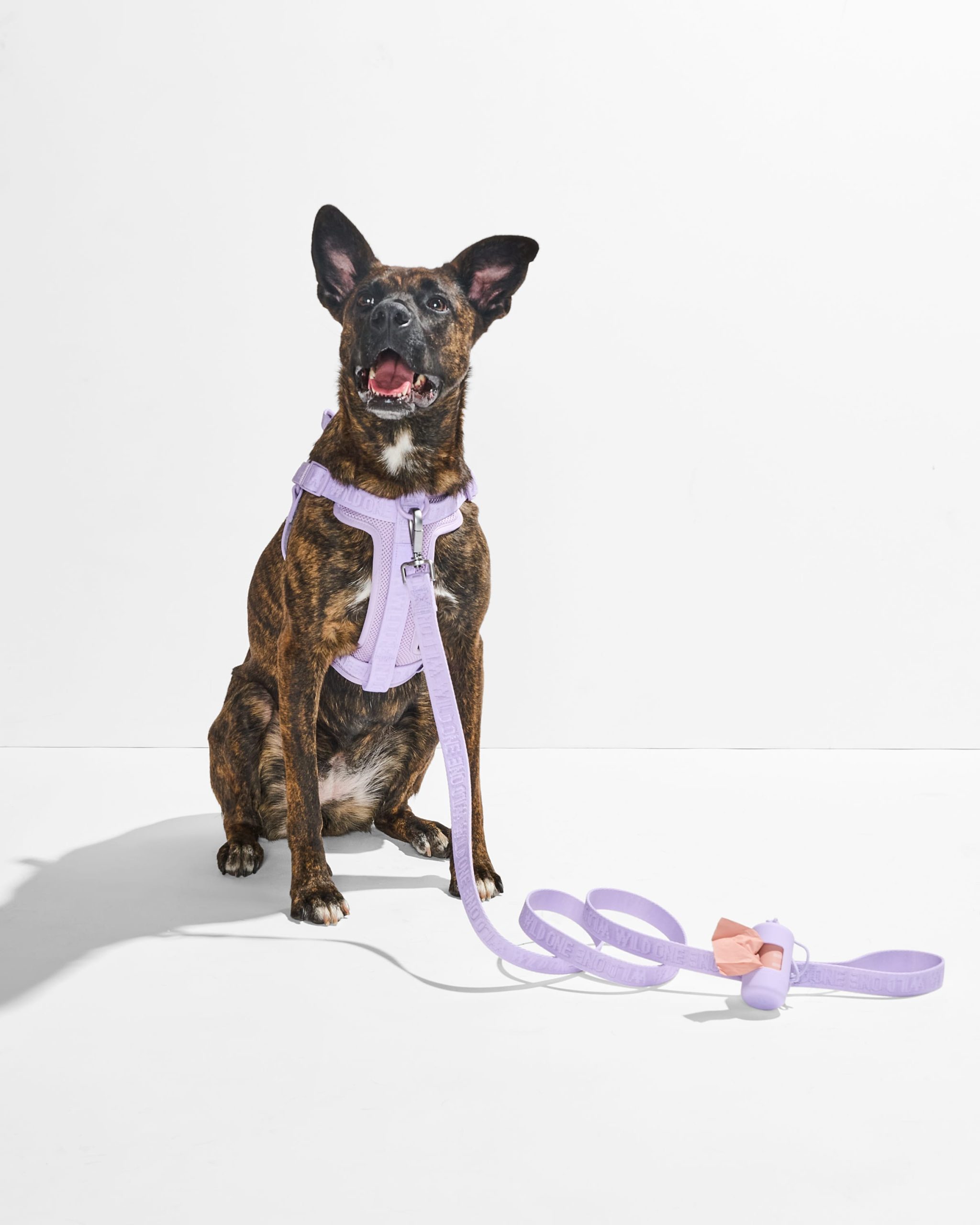 Lightweight Dog Leash - Image 23
