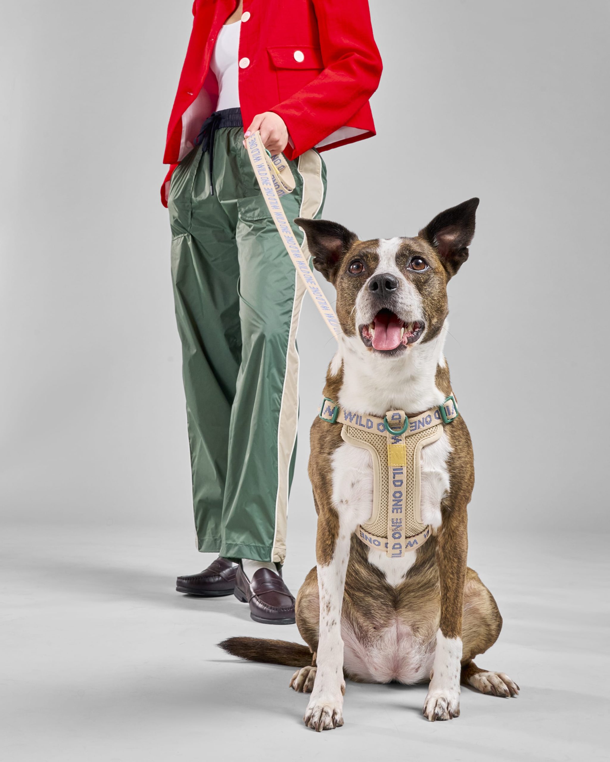 Lightweight Dog Leash - Image 5