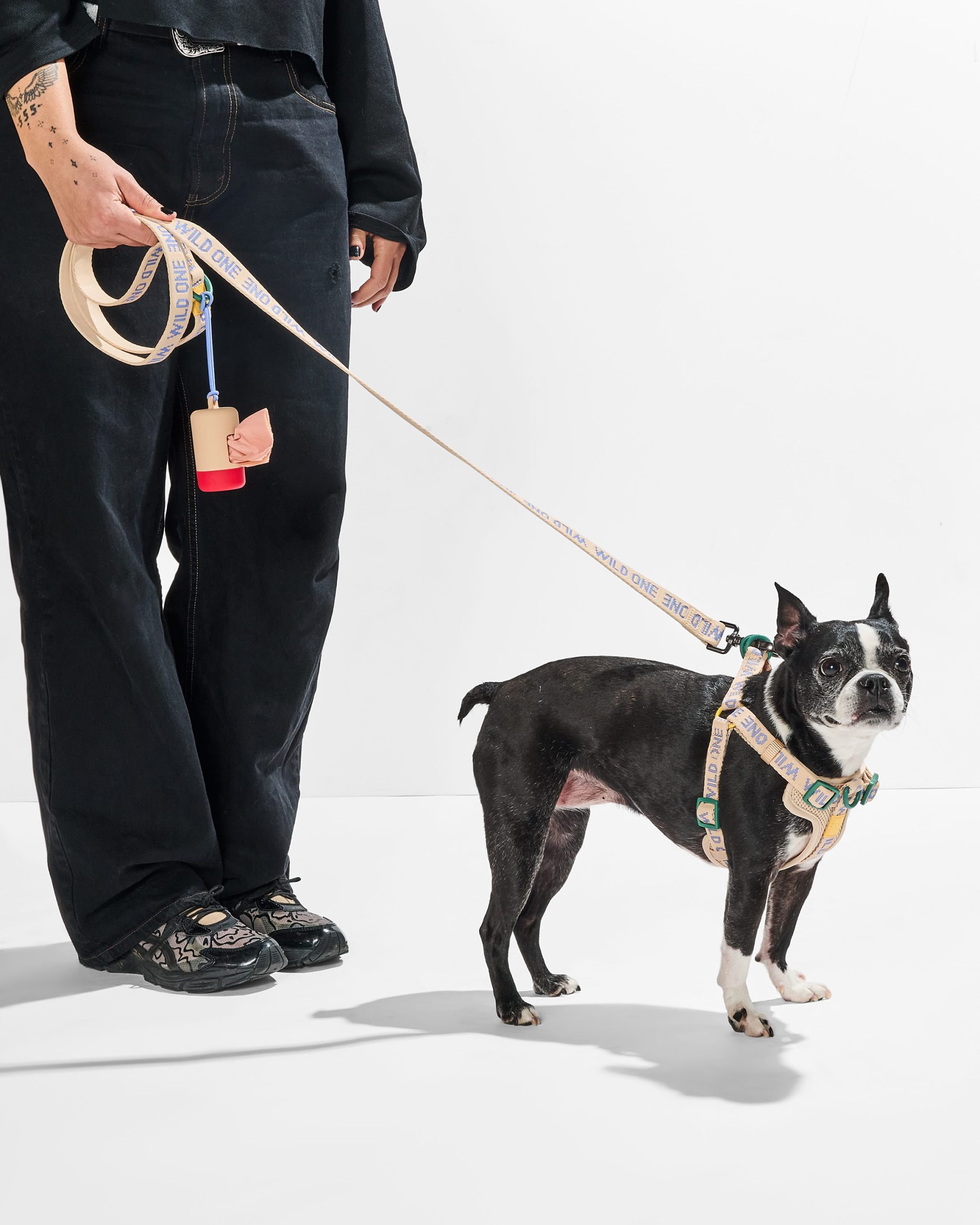Lightweight Dog Leash - Image 7