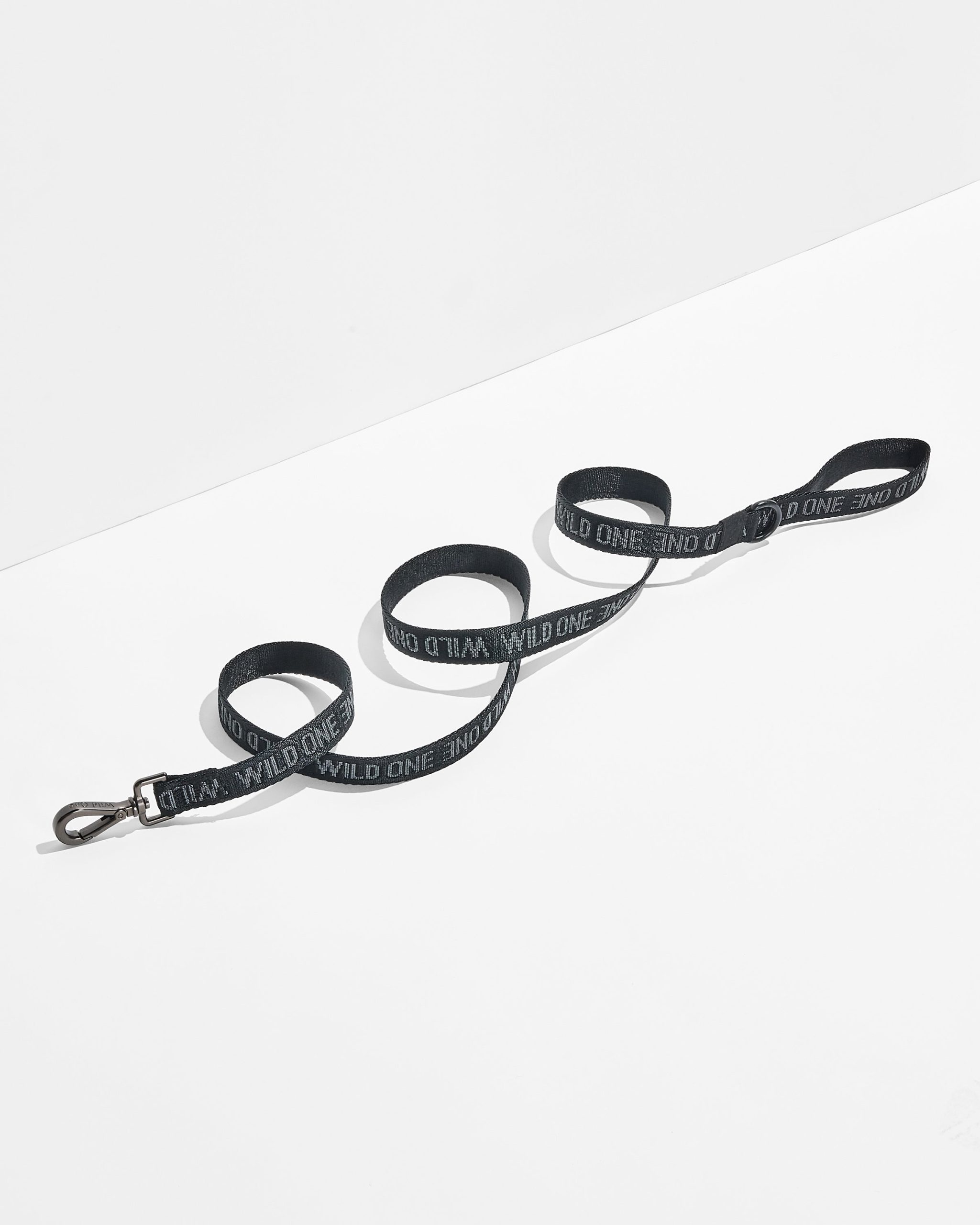 Lightweight Dog Leash - Image 15