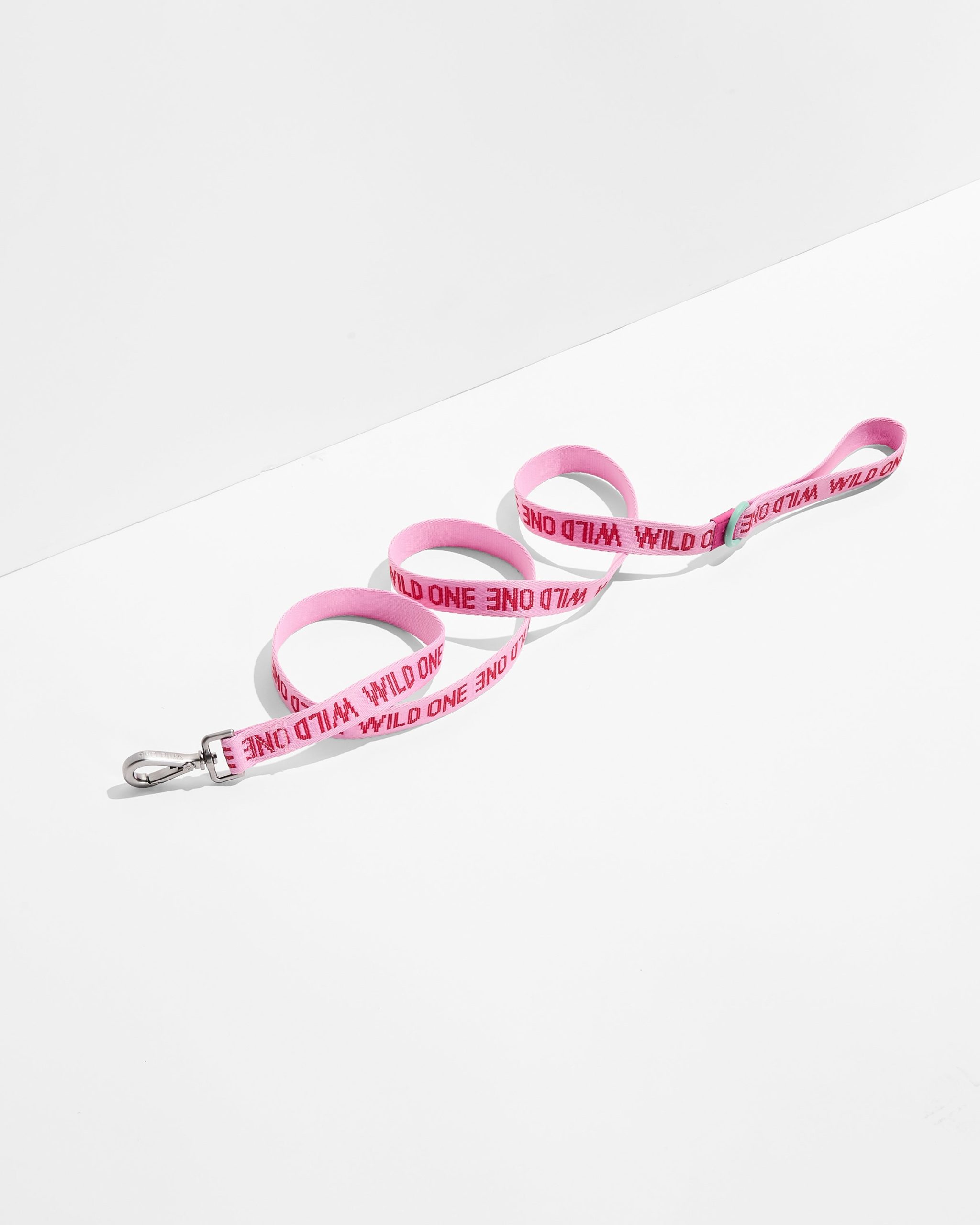 Lightweight Dog Leash - Image 9