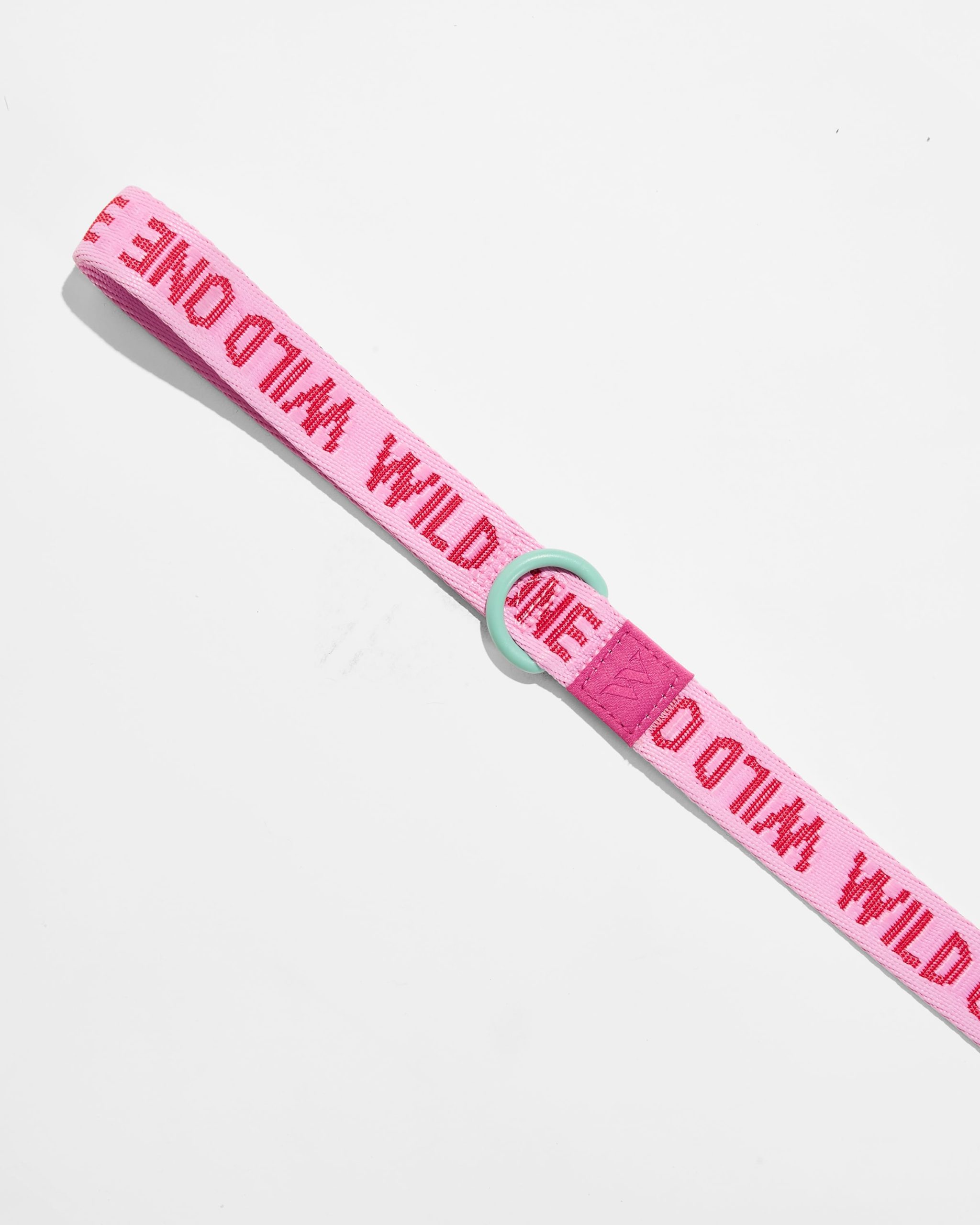 Lightweight Dog Leash - Image 11