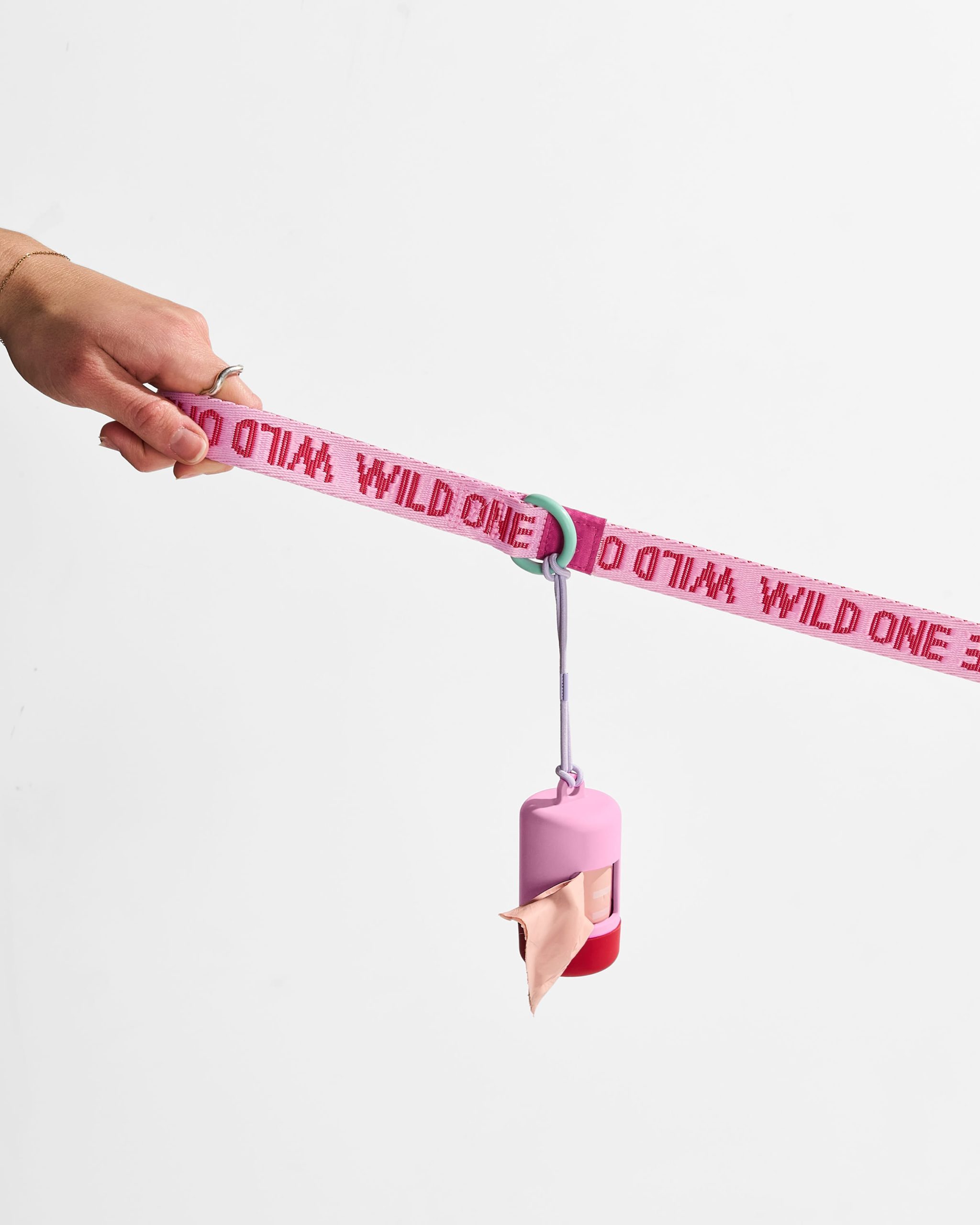 Lightweight Dog Leash - Image 10
