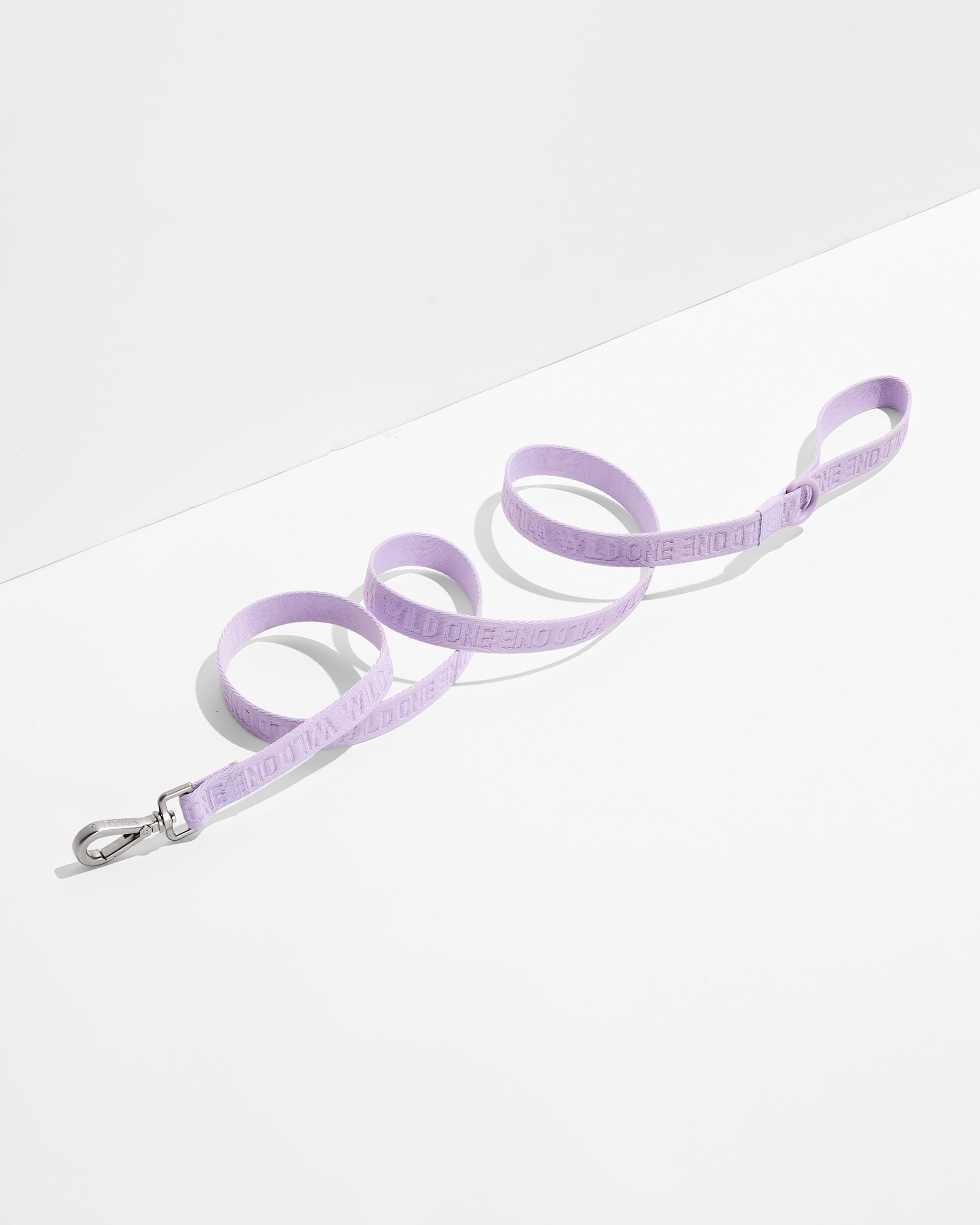 Lightweight Dog Leash - Image 21