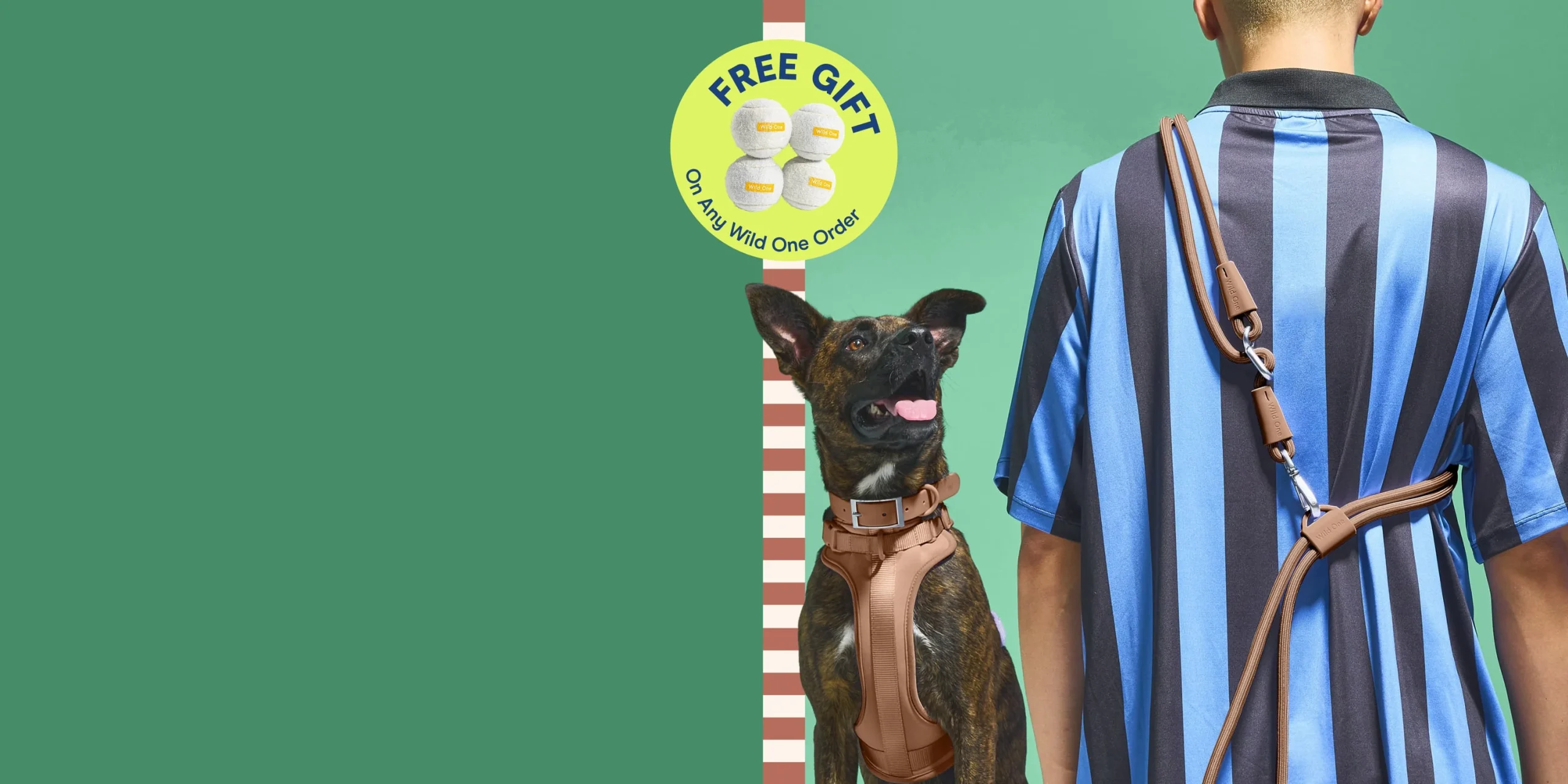 Wild One Cocoa Rope Leash