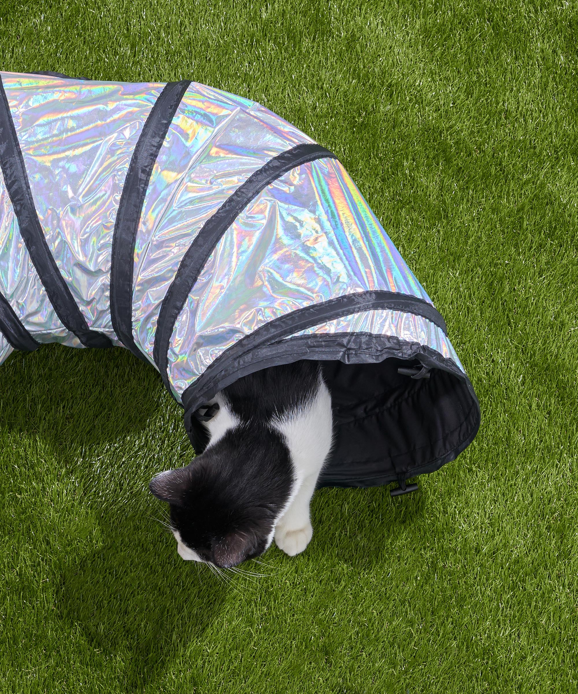 Cat Tunnel - Image 16